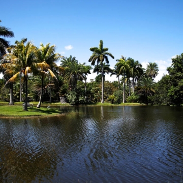 Fairchild Botanic Garden