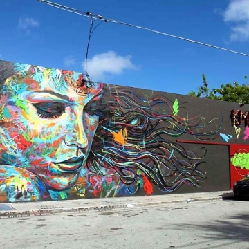 wynwood7