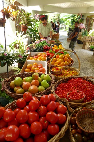 Farmer market botanic2