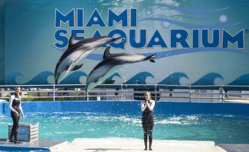 Seaquarium